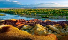 新疆旅游网红爆料视频,网红视频揭秘绝美风光与独特风情